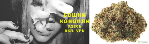 ГАЛЛЮЦИНОГЕННЫЕ ГРИБЫ Сафоново