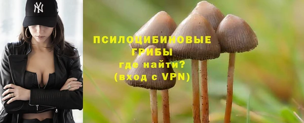 каннабис Сатка