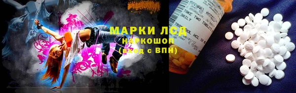 ГАЛЛЮЦИНОГЕННЫЕ ГРИБЫ Сафоново