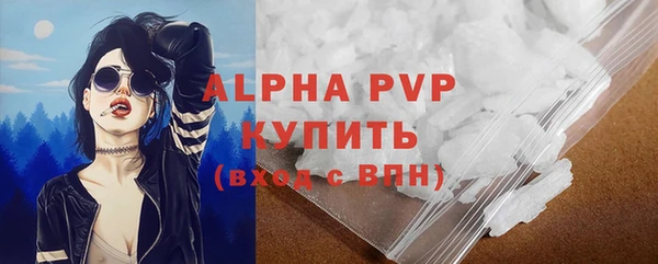 гашик Пионерский